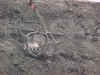 Electrically powered dragline